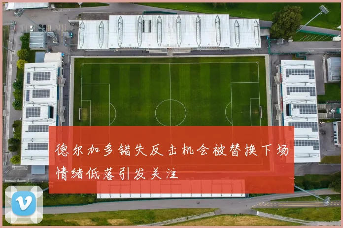 德尔加多错失反击机会被替换下场情绪低落引发关注