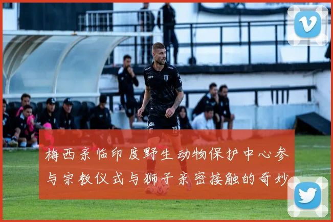 梅西亲临印度野生动物保护中心参与宗教仪式与狮子亲密接触的奇妙体验