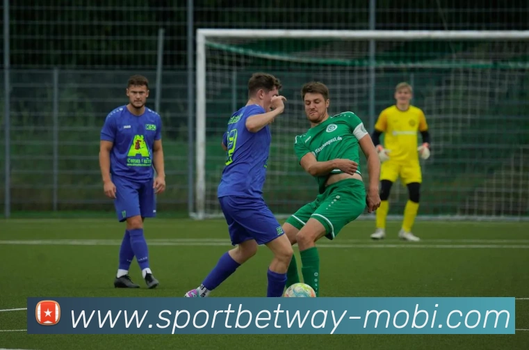 必威体育APP 体育赛事宣传图